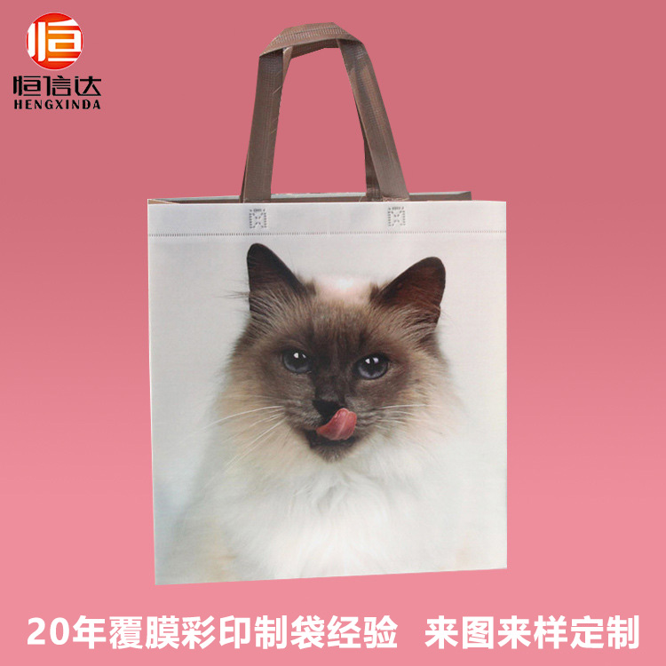 彩印覆膜一體成型立體手提袋購物袋